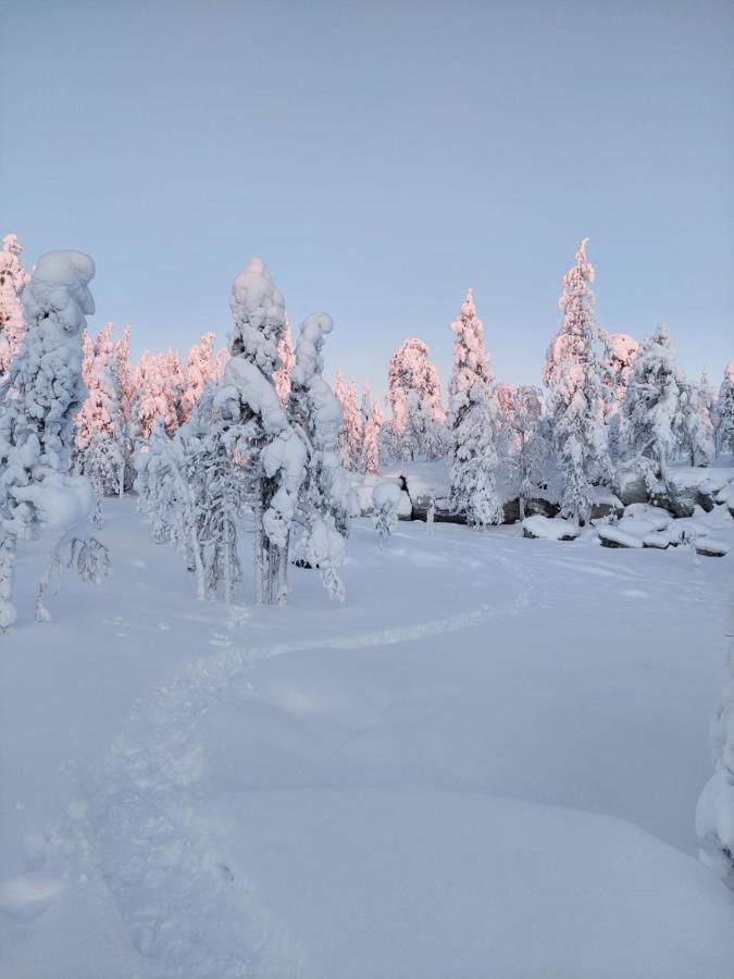 Villa Latvus Rovaniemi Dış mekan fotoğraf