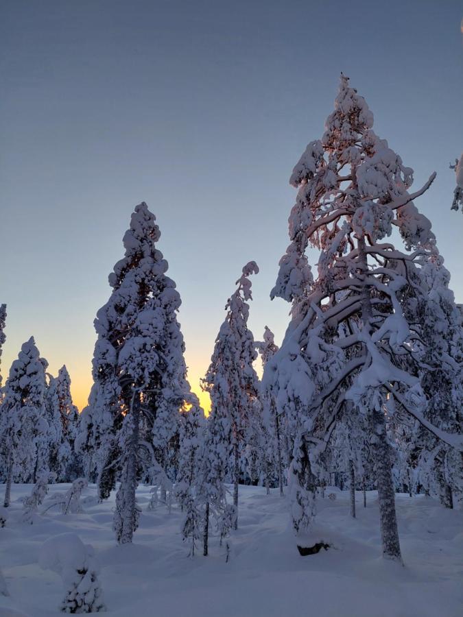 Villa Latvus Rovaniemi Dış mekan fotoğraf