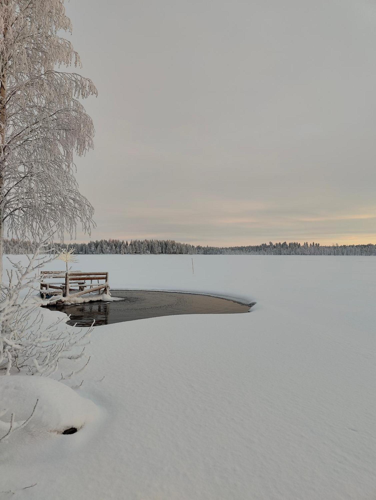 Villa Latvus Rovaniemi Dış mekan fotoğraf